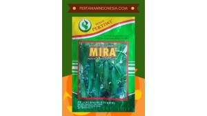 Benih Timun Mira