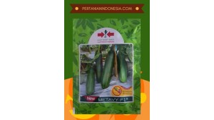 Benih Timun New Metavy