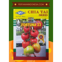 Benih Tomat Fortuna 23
