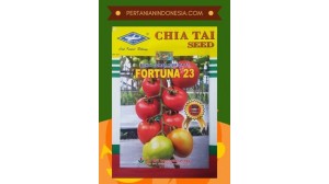 Benih Tomat Fortuna 23