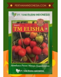 Benih Tomat TM Elisha