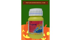 Insektisida Regent Red 50 SC